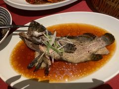 豆豉清蒸老虎斑-恰恰餐厅(硕和生活广场店)