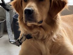 -贝康宠物医院·犬猫全科·小动物特色诊疗中心(东环路店)