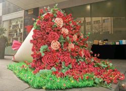 点击看大图 -上海玫瑰医疗美容医院