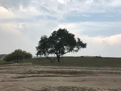 -塞罕坝国家级自然保护区