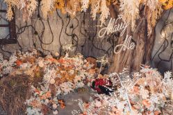 -迈瑞米求婚策划(静安店)