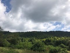 -苏州环秀晓筑养生度假村