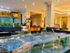 -龙悦湾酒家·八阵鱼生·渔人码头店