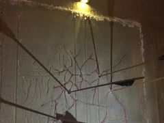 -秃鹫湾·推理大师沉浸式实景演绎推理剧场