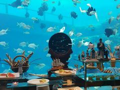 -瑞德姆美人鱼海底演艺主题餐厅(亚龙湾店)