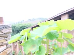 -远山有窑
