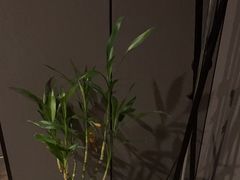 -迈格笙SPA·影院式足道·采耳(金桥店)