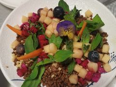 -唐猫庭院·千年陕菜(大唐不夜城店)