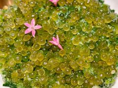 -俏立方·15年新楚菜