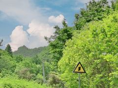 -大连天门山国家森林公园