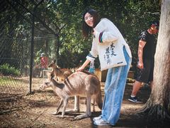 -可伦宾野生动物保护区