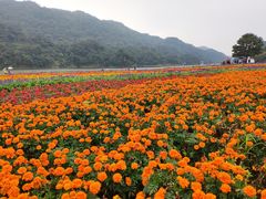 -广州市石门国家森林公园