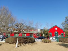 -普兰达德国餐厅·德式脆皮烤猪肘·自酿啤酒(观唐店)