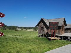 -塞罕坝国家级自然保护区