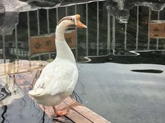 -龙华寺