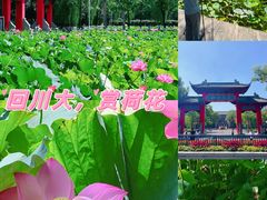 -四川大学(望江校区)