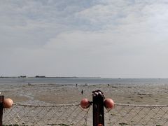 -北海金海湾红树林生态旅游区