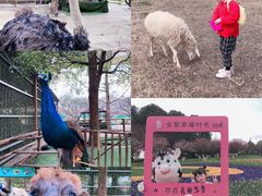 -秀丽东方