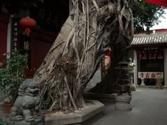 -叩齿古寺