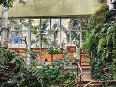 -正佳雨林生态植物园