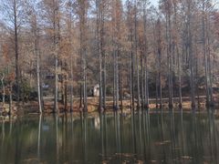 -波尔登森林公园