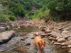 -龙湾潭国家森林公园