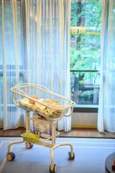 -巍阁高端月子会所