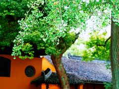 -西园戒幢律寺