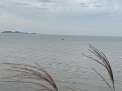 -大鹿岛