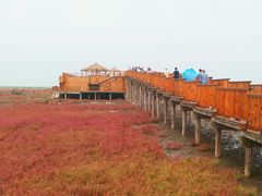 -红海滩国家风景廊道