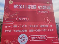 -紫金山山顶公园