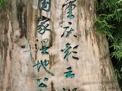 -重庆彩云湖湿地公园