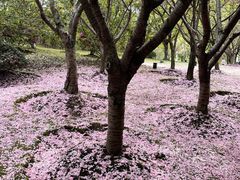 -苏州河梦清园环保主题公园