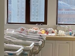 -海豚湾高端月子会所(黄浦店)