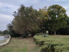 -阳澄湖半岛旅游度假区