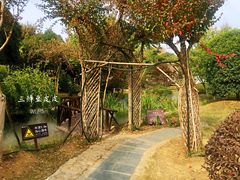 景点-武汉紫薇都市田园