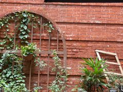 -Ocean's Table 欧舍