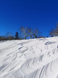 -大秃顶子山