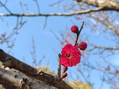 -开福禅寺