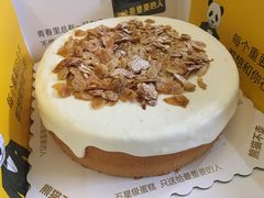 -熊猫不走生日蛋糕(东城店)