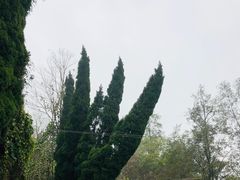 -金堂县云顶石城风景区