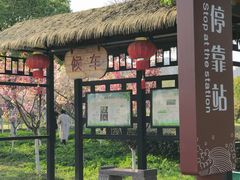 -滨湖塘西河公园