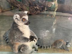 -西安秦岭野生动物园