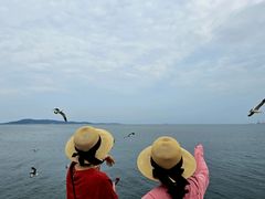 -悦海公园