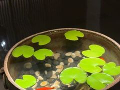 -曲水兰亭(北京四惠店)