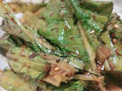 活捉莴笋-东吴霸王兔(松青路店)