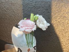 -饵块食光·云南有机手作饵块