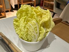 娃娃菜-纯味斑鱼府(上海总店)