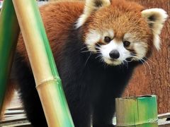 -无锡动物园·太湖欢乐园
