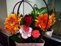 -喜宝母婴月子会所